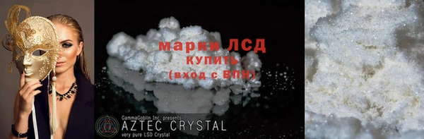 прущие грибы Михайлов