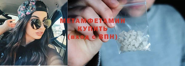 прущие грибы Михайлов