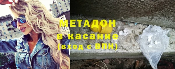 прущие грибы Михайлов