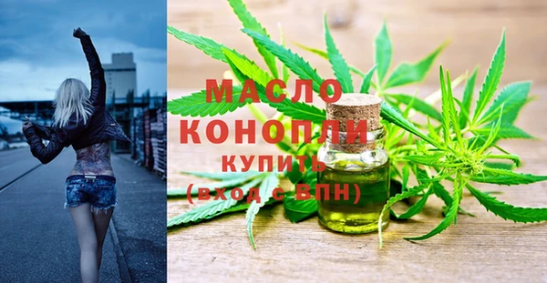 прущие грибы Михайлов