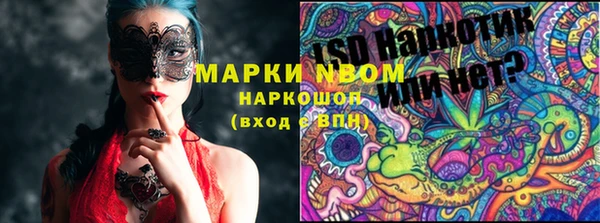 прущие грибы Михайлов