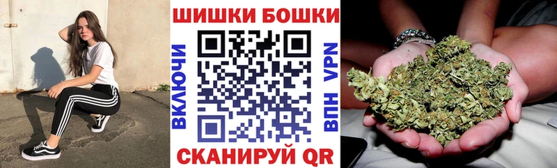Бошки Шишки VHQ  Купить закладки  Ефремов 